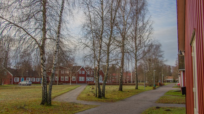 fristads folkhögskola