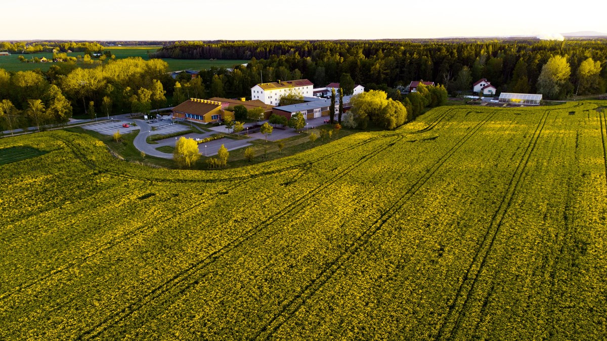 Flygbild över Uddetorp naturbruksskola