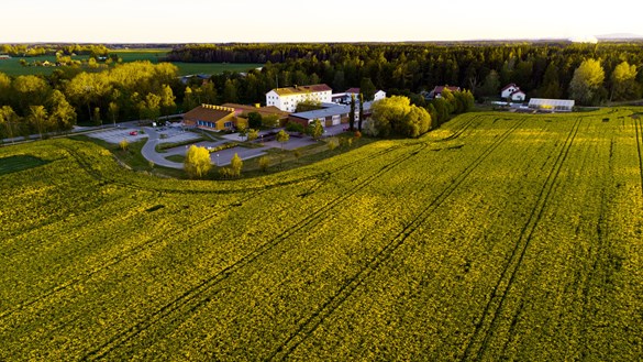 Flygbild över Uddetorp naturbruksskola