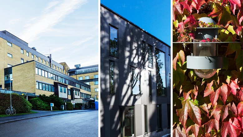 kollage med tre bilder från Alingsås lasarett. En byggnad i gult tegel, en byggnad med solglimt i fönster och en detaljbild.