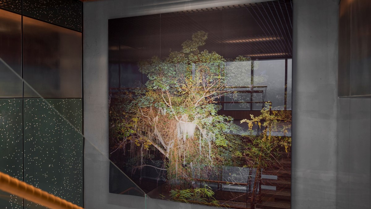 Laniakea från fågelhjärna - ett konstverk på regionens hus i Göteborg
